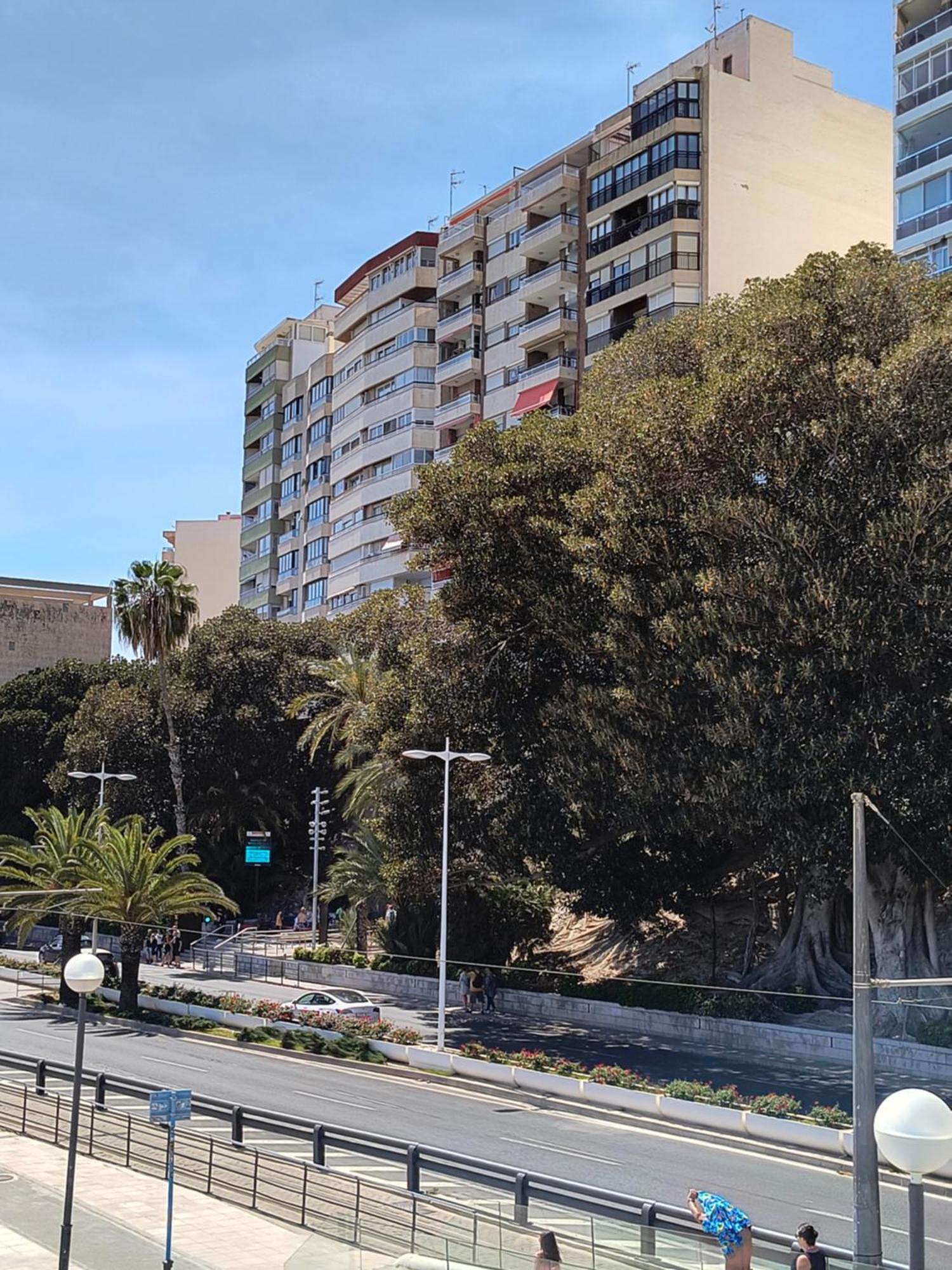 Apartamento Playa Alicante Exteriér fotografie
